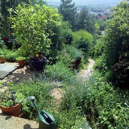 安娜公寓 * 布道尔斯