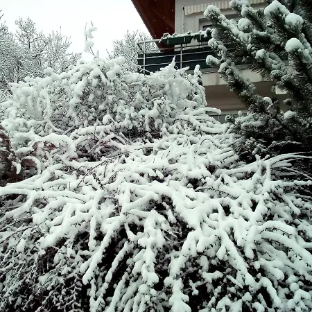 公寓 安娜公寓 *