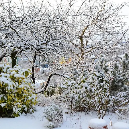 公寓 安娜公寓 布道尔斯