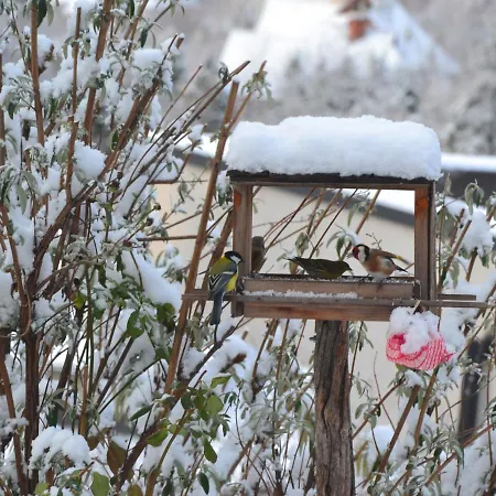公寓 安娜公寓 *