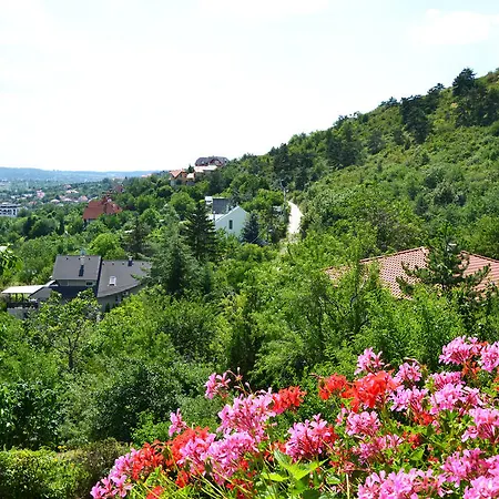 安娜公寓 布道尔斯