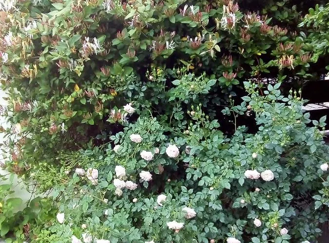 Apartament Anna Budaörs