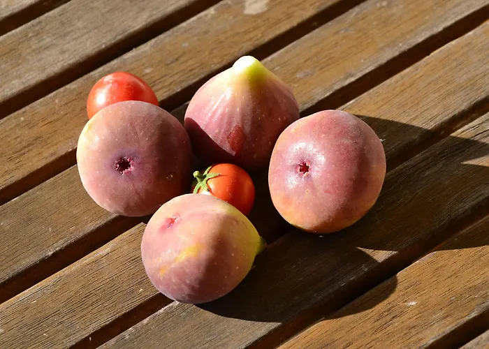 Apartament Anna Budaörs